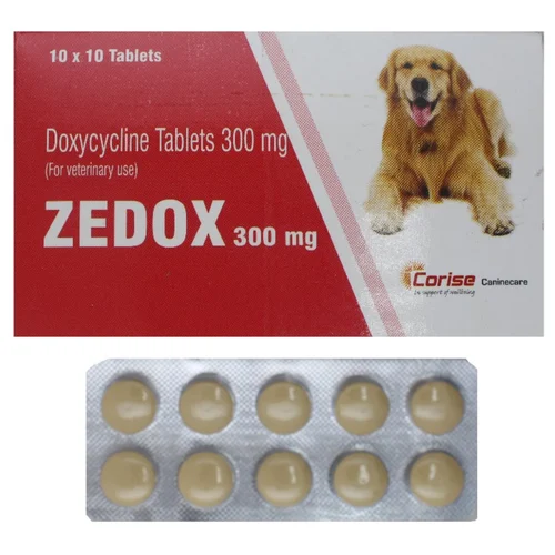 300 mg ZEDOX Doxycycline Tablets