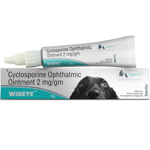 2 mg WIGEYE Cyclosporine Ophthalmic Ointment